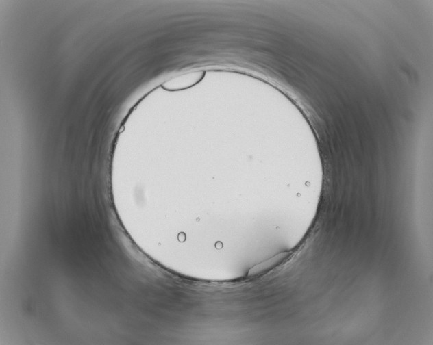 X0000110931534200907301613