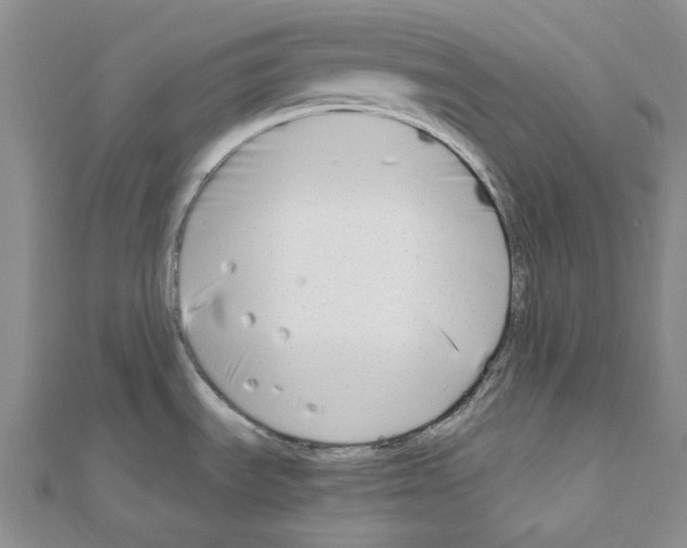 X0000110931535200907301613