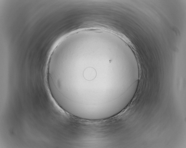 X0000110931536200907301613