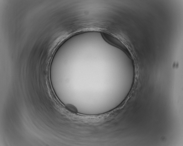 X0000110940001200906191101