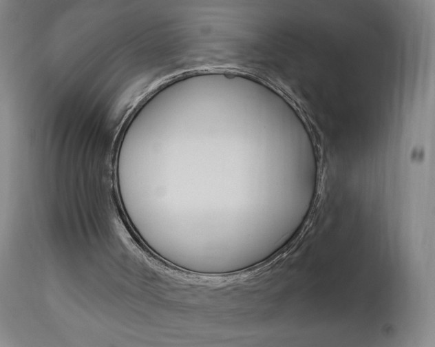 X0000110940002200906191101