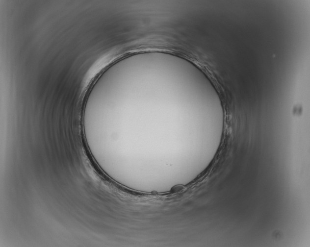 X0000110940004200906191101