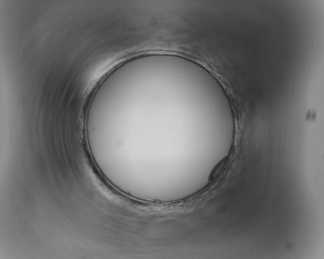 X0000110940005200906191101
