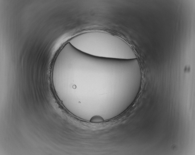 X0000110940006200906191101
