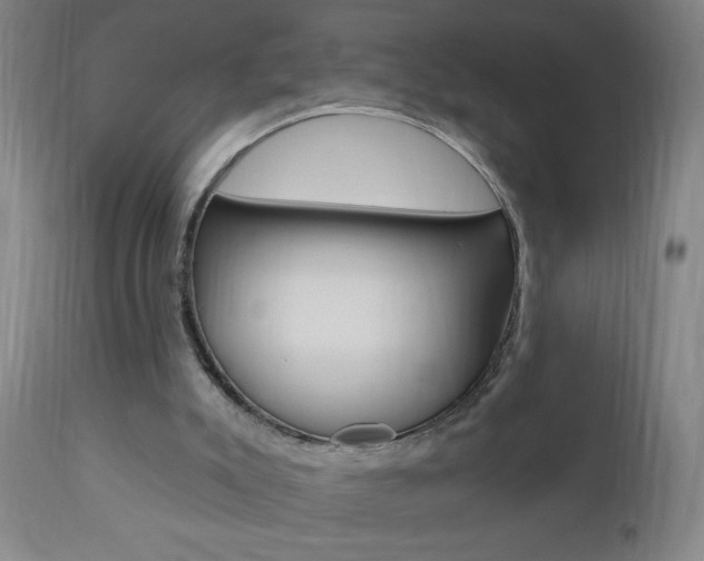 X0000110940007200906191101