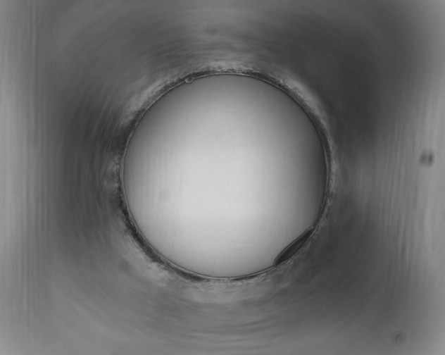 X0000110940009200906191101