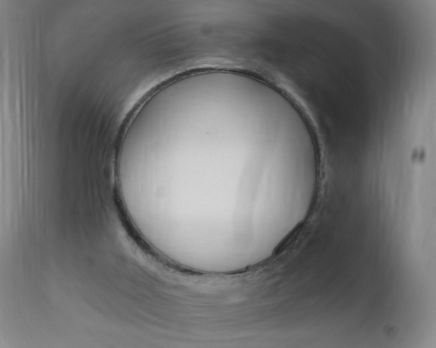 X0000110940011200906191101