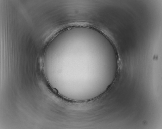 X0000110940013200906191101