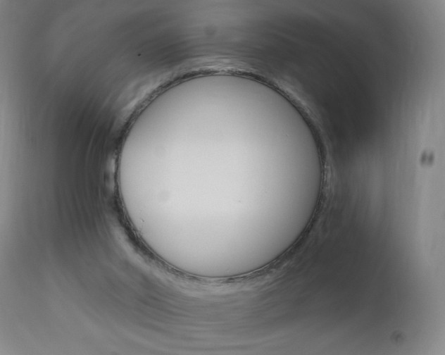 X0000110940014200906191101
