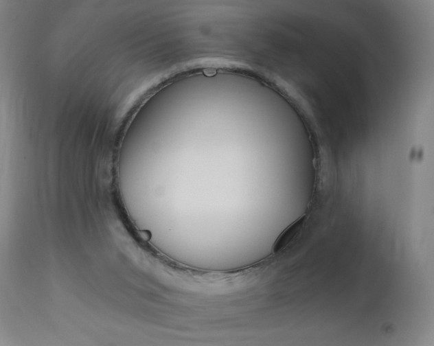 X0000110940015200906191101