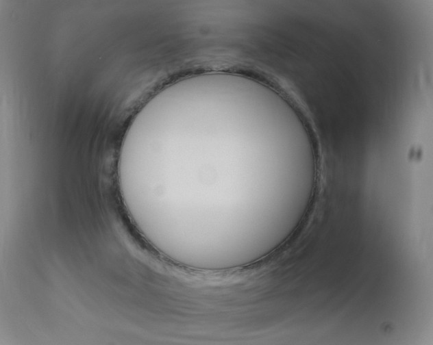 X0000110940018200906191101