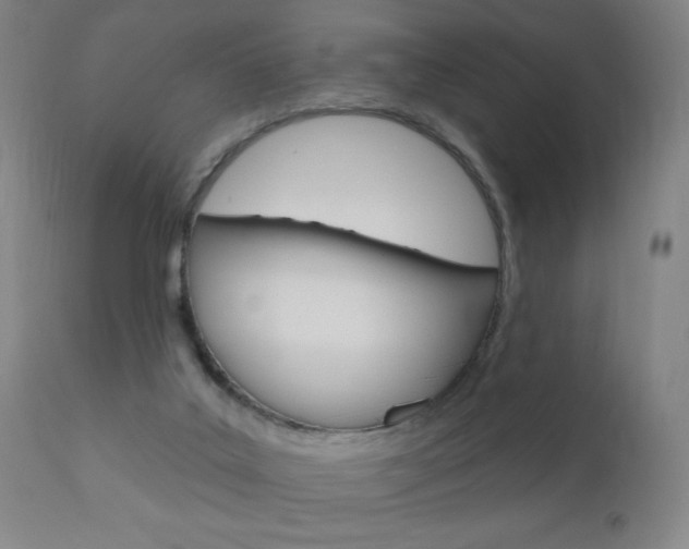 X0000110940019200906191101