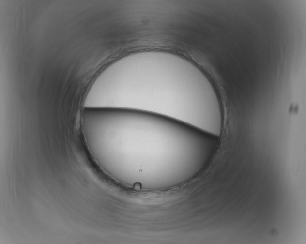 X0000110940021200906191101