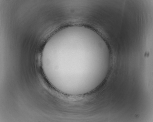 X0000110940022200906191101