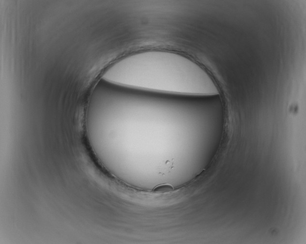 X0000110940023200906191101