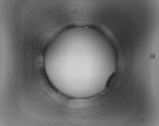 X0000110940025200906191101