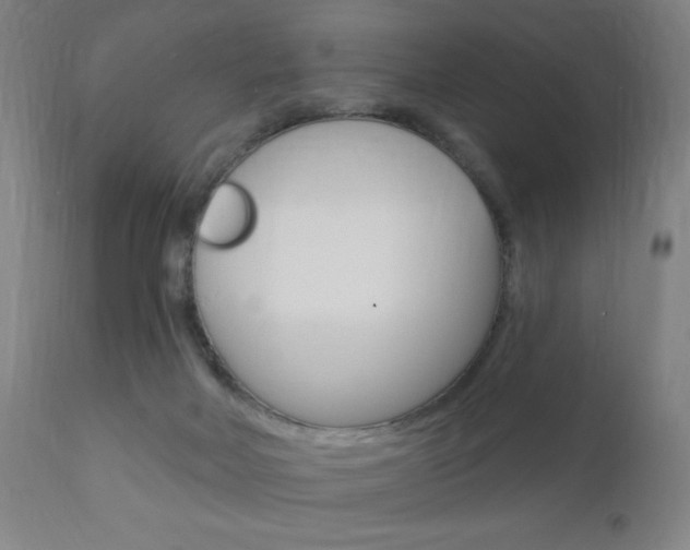 X0000110940026200906191101