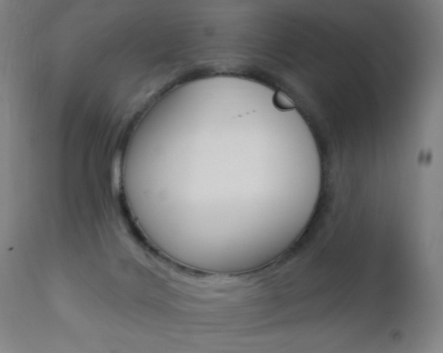 X0000110940028200906191101