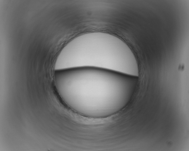 X0000110940031200906191101