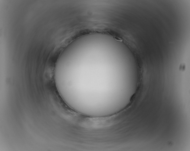 X0000110940033200906191101
