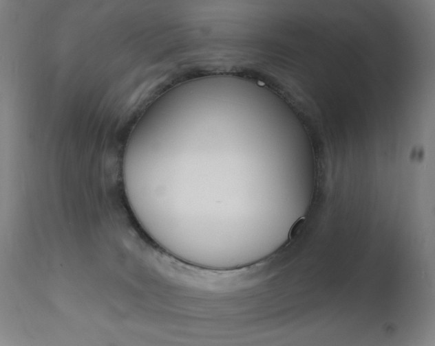 X0000110940035200906191101