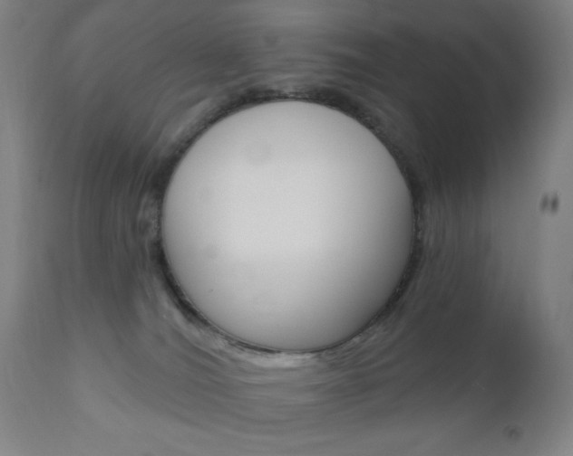X0000110940036200906191101