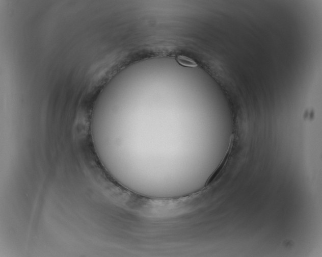 X0000110940037200906191101