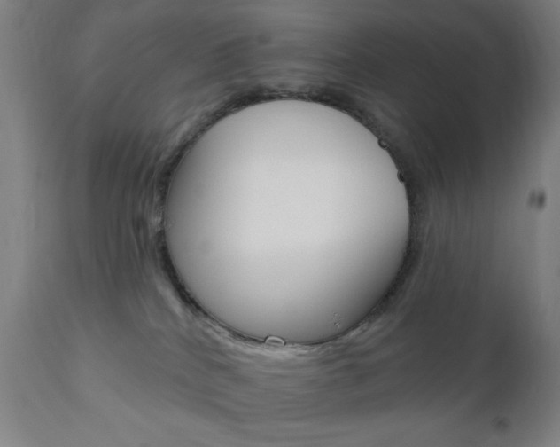X0000110940040200906191101