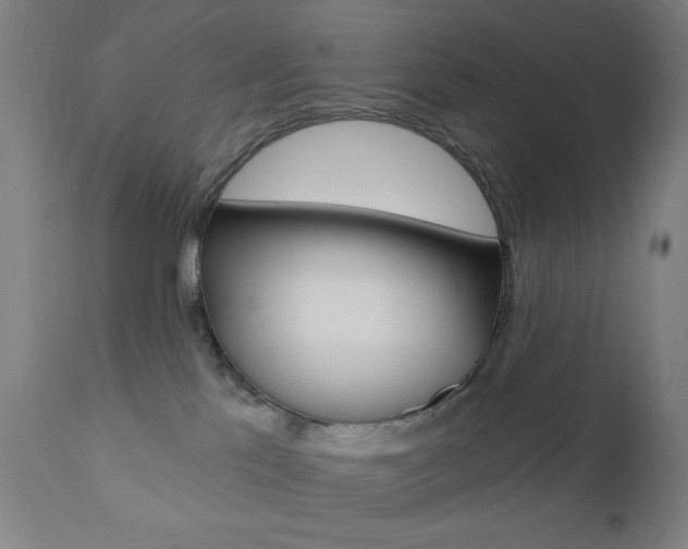 X0000110940041200906191101
