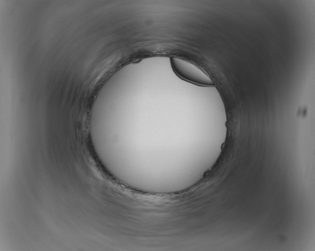X0000110940044200906191101