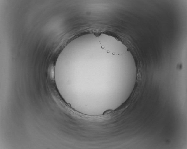 X0000110940046200906191101