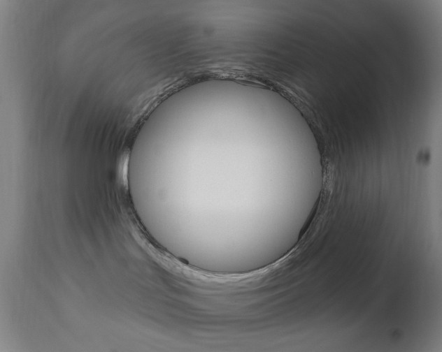 X0000110940047200906191101
