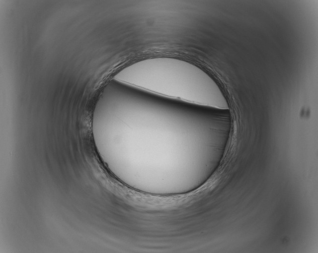 X0000110940048200906191101