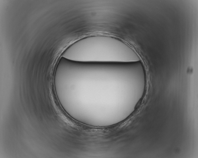 X0000110940049200906191100