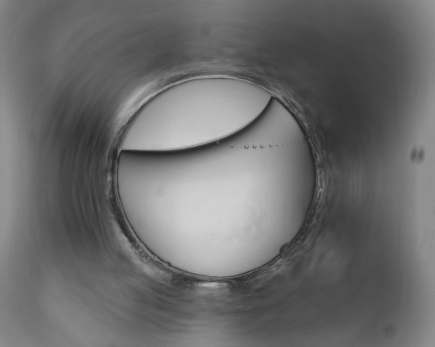 X0000110940053200906191100