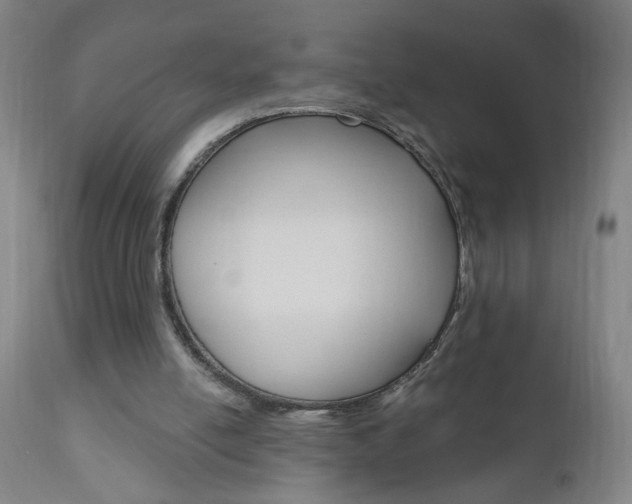 X0000110940054200906191100
