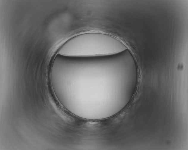 X0000110940055200906191100