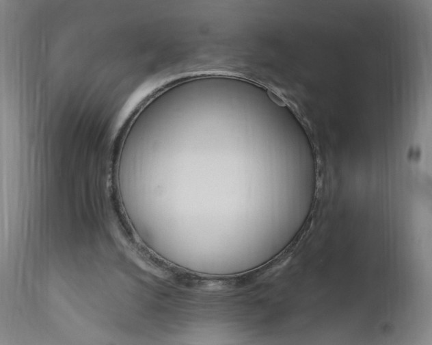 X0000110940056200906191100