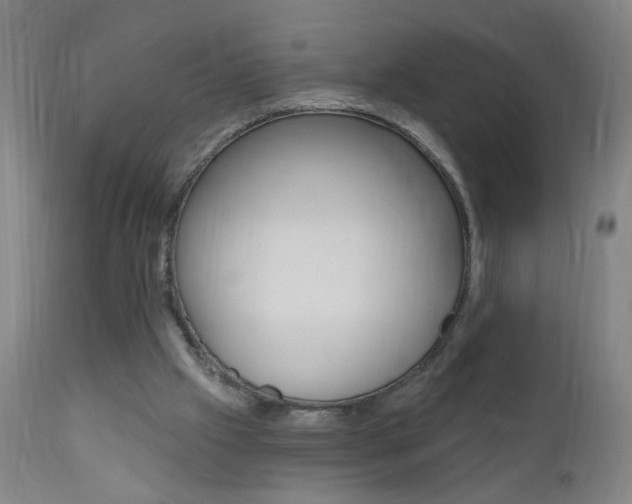 X0000110940057200906191100