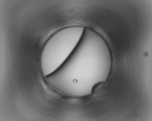 X0000110940058200906191100