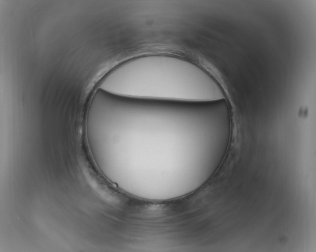 X0000110940059200906191100