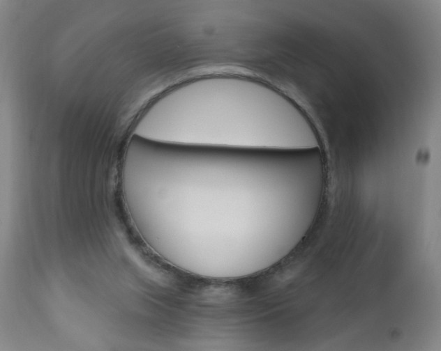 X0000110940063200906191100