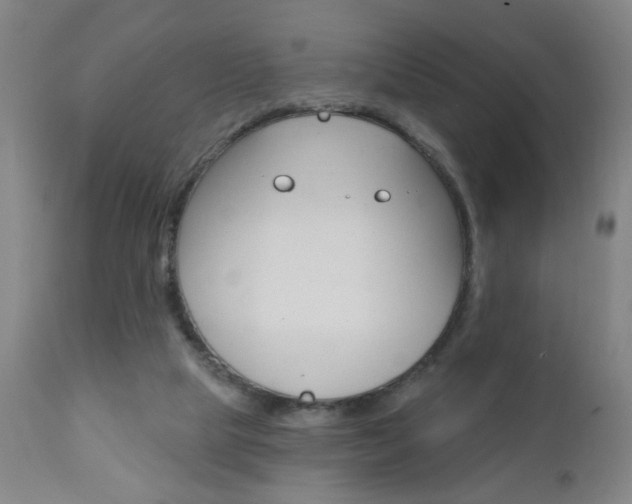 X0000110940065200906191100