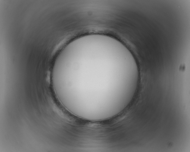 X0000110940067200906191100