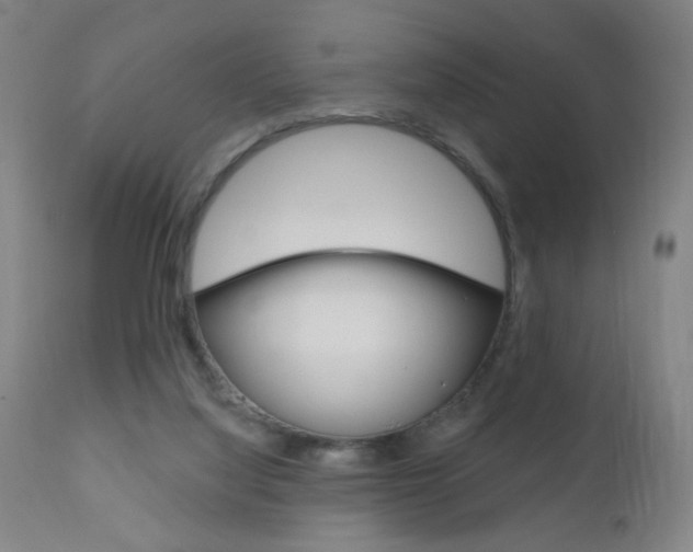 X0000110940068200906191100
