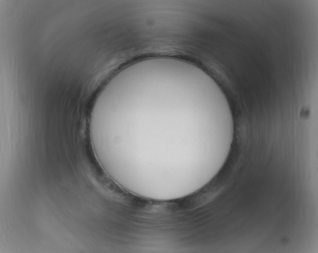 X0000110940072200906191100