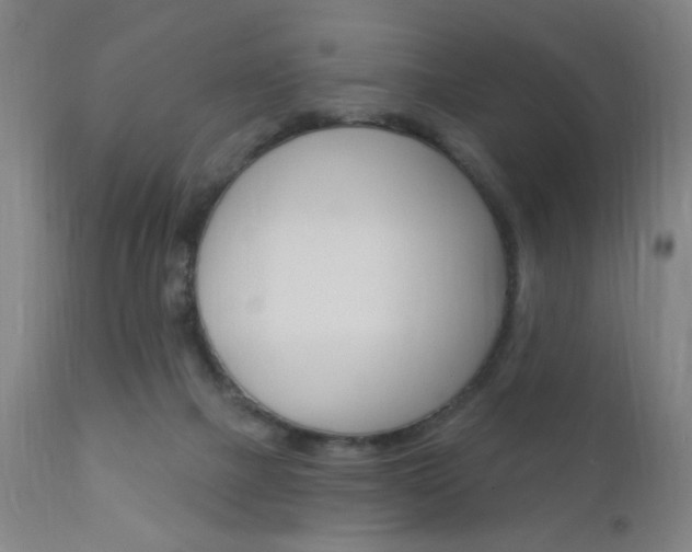 X0000110940073200906191100