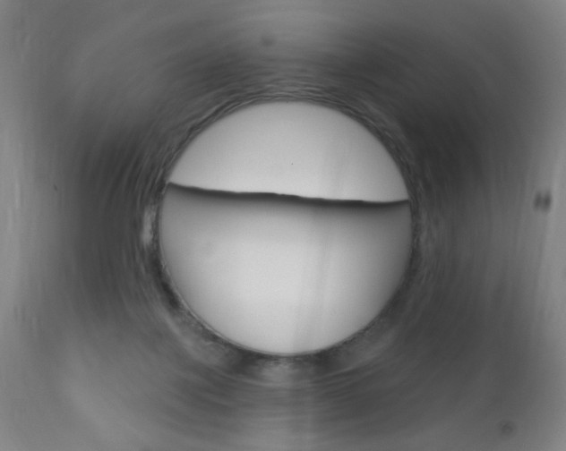 X0000110940075200906191100
