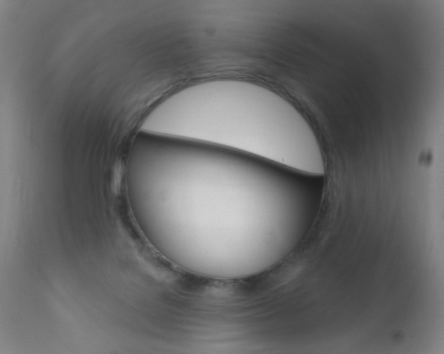 X0000110940076200906191100