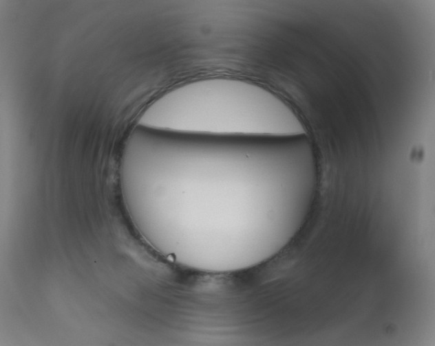 X0000110940077200906191100
